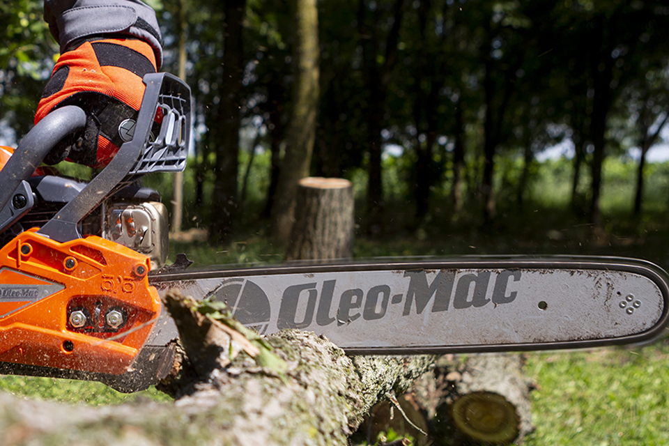 Chainsaw-Chain116