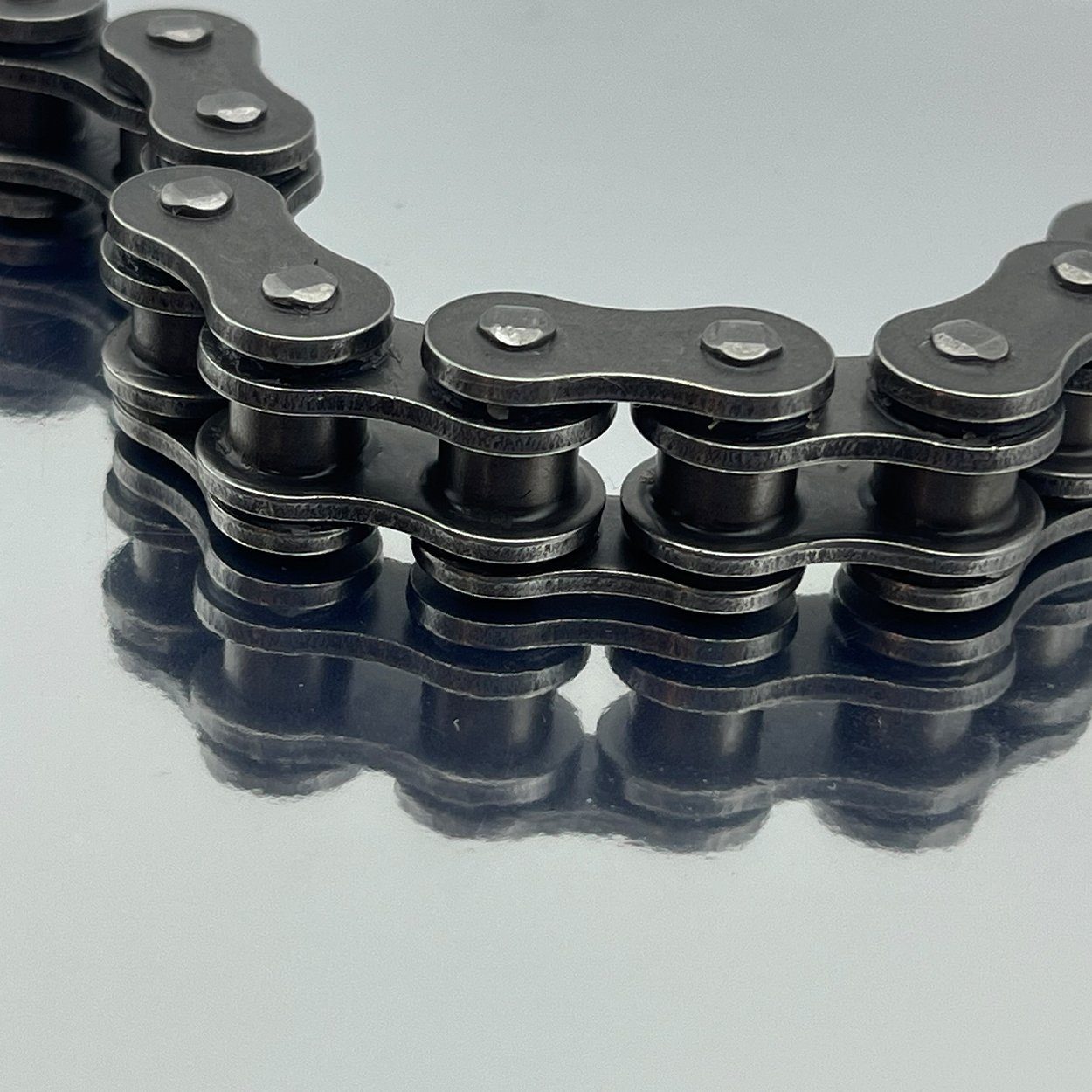 525SUO O-ring chain E