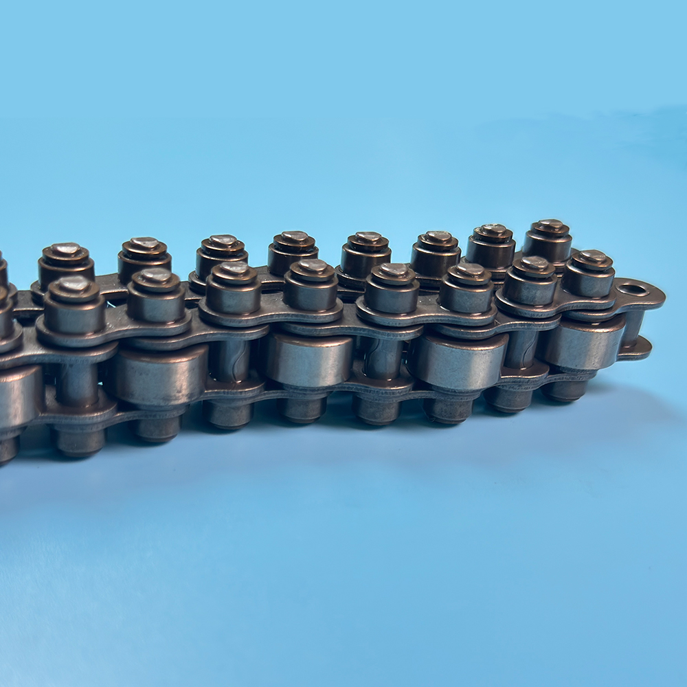 Accumulation Roller Chain F